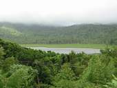 Kratersee im Regenwald